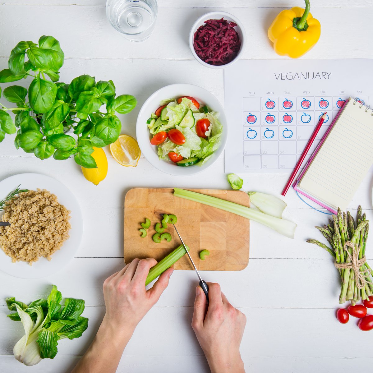 JackStonehouse2's tweet photo. #Veganuary is here 🥦

January is a great time to have a taste of being vegan, trying out various parts of their diets and lifestyle choices! You may even enjoy it and adopt some, if not all of it, into you daily life!

#NewYear https://t.co/5GLJHNVBcl