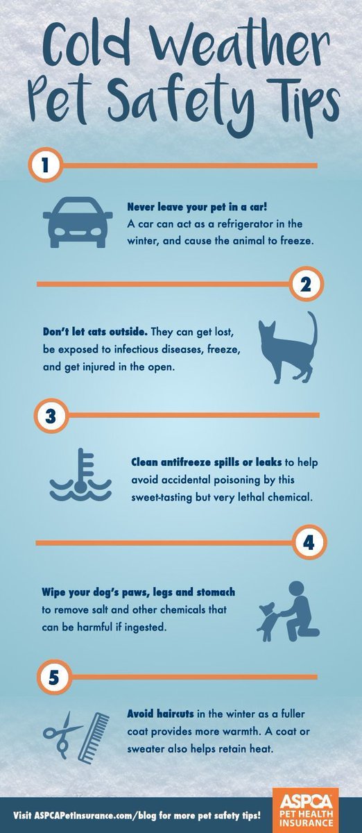 loudouncats's tweet photo. Some cold weather animal safety tips. https://t.co/lJHFyocKCw
