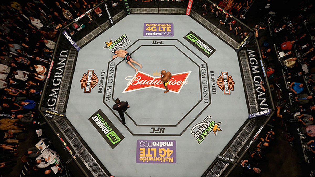 fightpicsgohard's tweet photo. https://t.co/c0c65sN6By