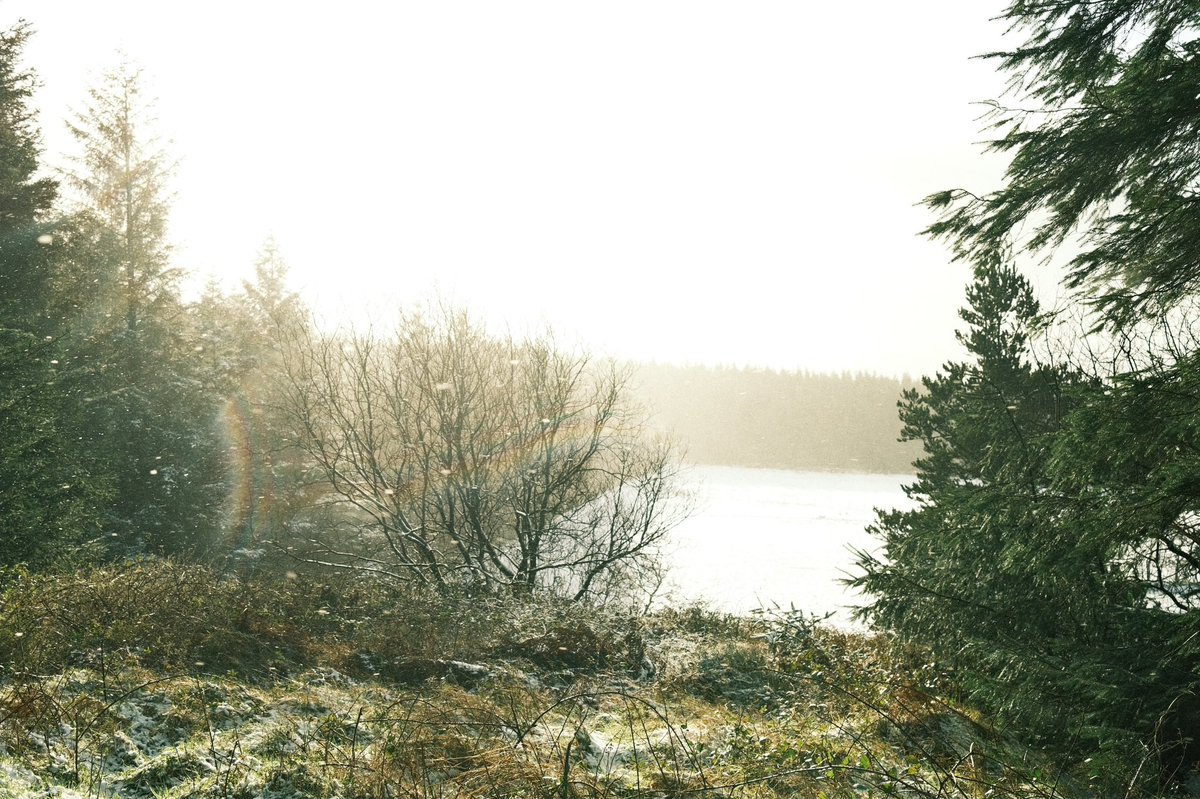StephenJ_Reid's tweet photo. First Snow of 2022 in Northern Ireland. ⛄️ 🙂

@WeatherCee @angie_weather @barrabest @LoveBallymena @BelfastLive @BelTel @bbcnewsline @mea_bc https://t.co/KOX3xaOhtw