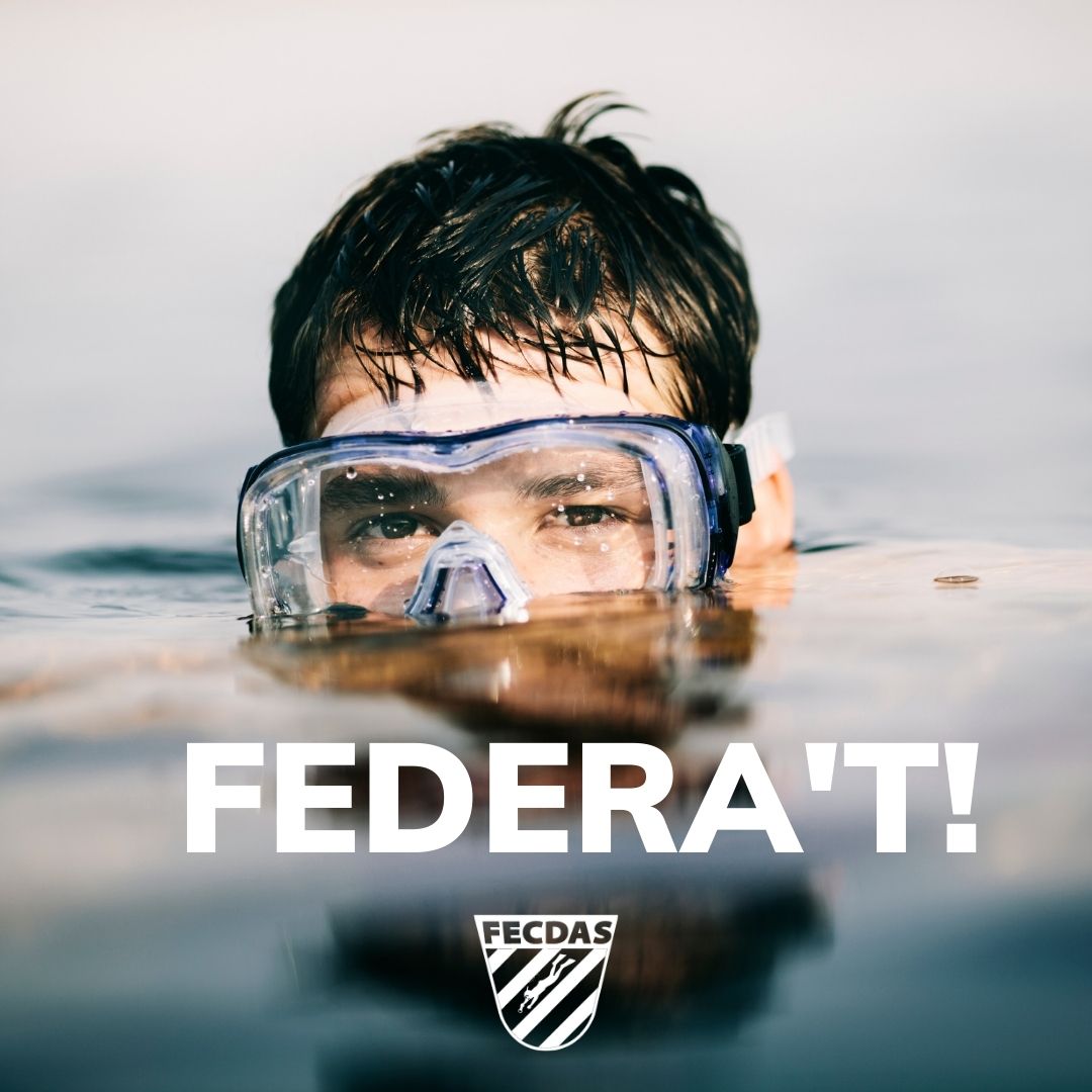 FECDAStwit's tweet photo. Ja tens la teva Llicència Federativa?🤿

Amb la FECDAS tens molt més!

🌀Una pràctica més segura!

Cobertura internacional d’accidents per activitats subaquàtiques:
- Assegurança d’accidents esportius
- Cobertura d’accidents i lesions durant les teves activitats subaquàtiques.
👇 https://t.co/zA9IxX8QJT