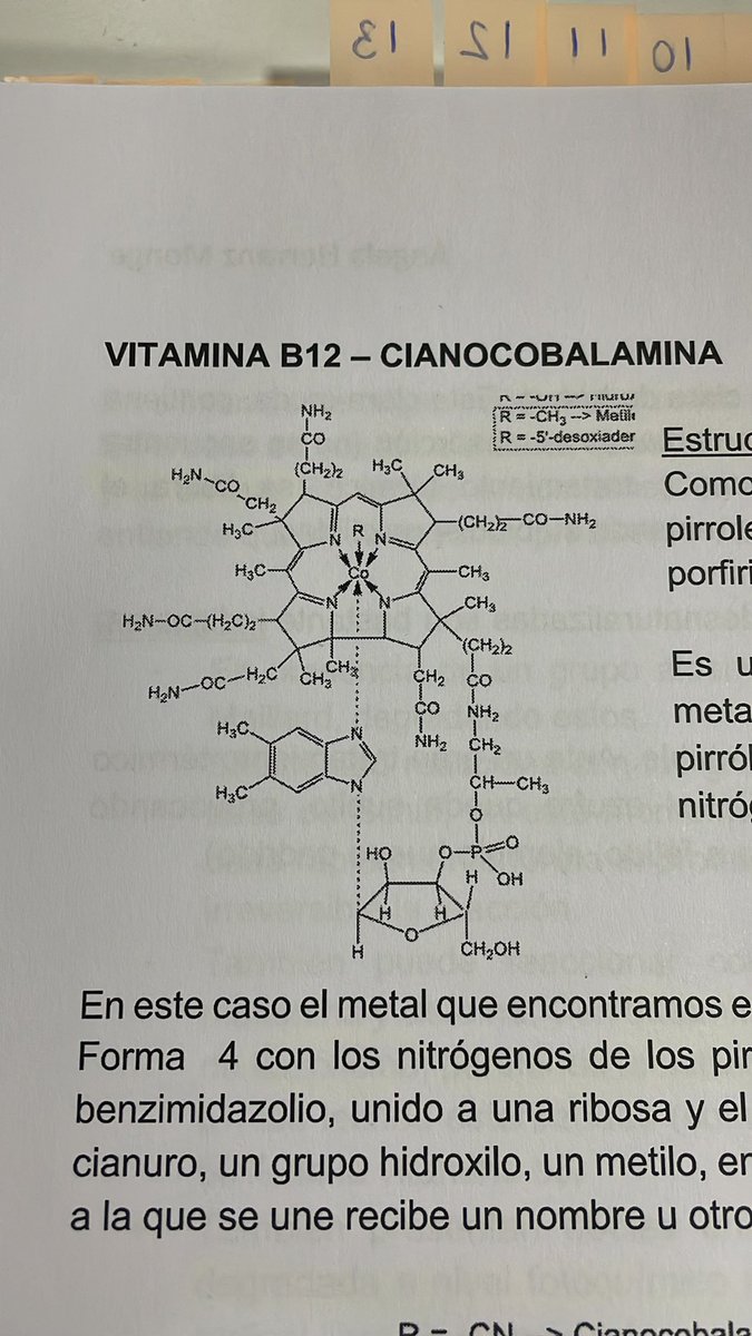 _Sandraperez_01's tweet photo. La química predijo el vestido de la Pedroche https://t.co/XKb8GBa6hN