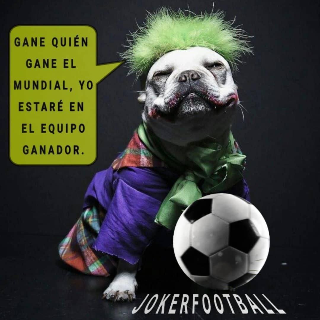 philym00sh's tweet photo. @JokerFootball_  #JKF https://t.co/9IfNiytVFb