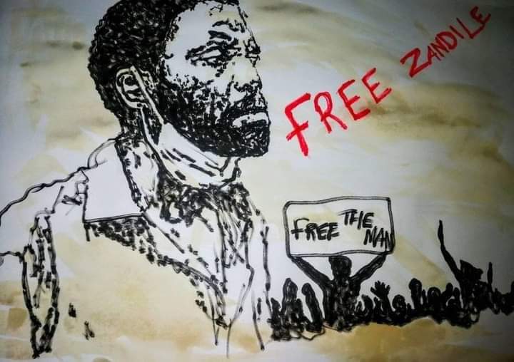 ANDILE MNGXITAMA (MP) tweet media