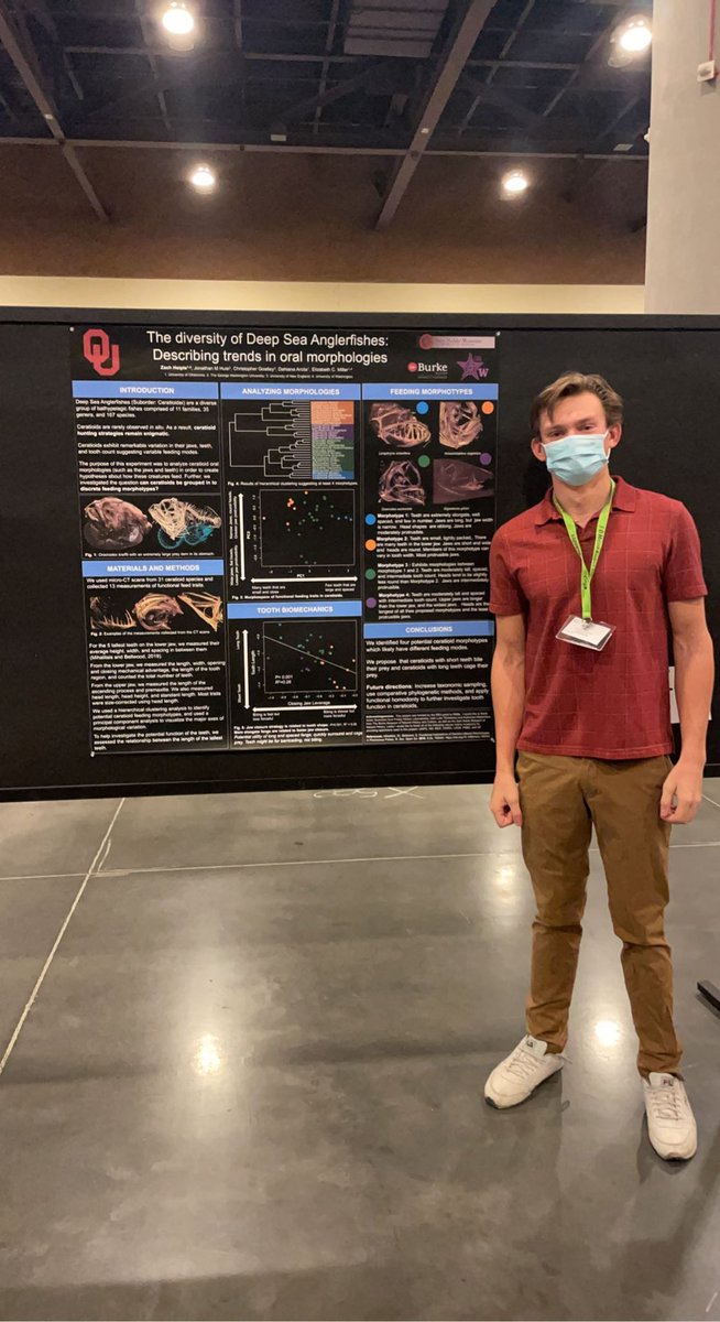 ￼
Very excited to be presenting at my FIRST CONFERENCE! Stop by today 3:30-4:30 (pm) to hear about some Deep Sea Anglerfish teeth! #SICB2022
