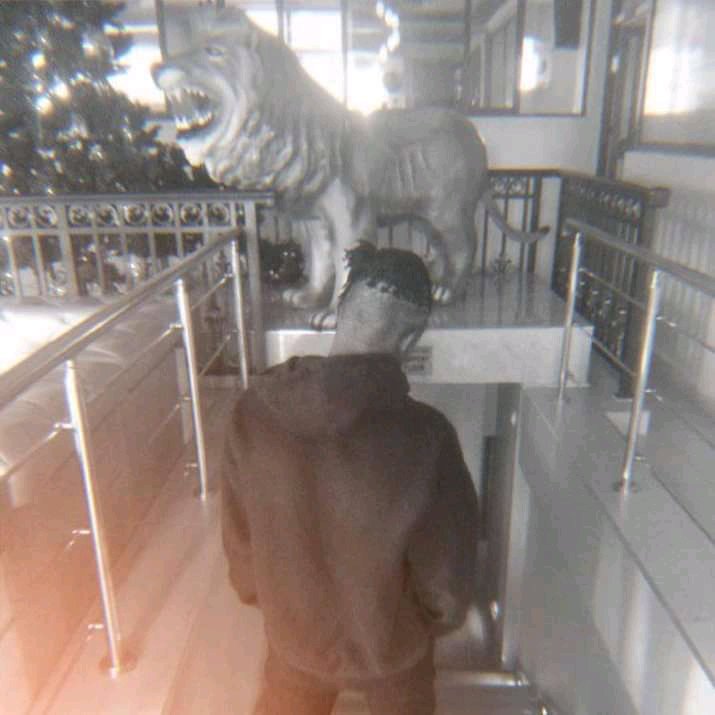 JkingOmelly's tweet photo. This season should be black and white 💎👽 https://t.co/hbPIoxbTzs
