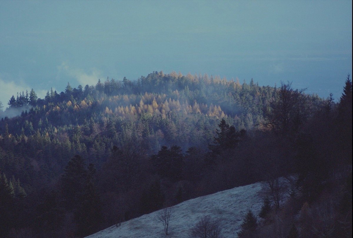 new snow, new release 

the second piece of the ‚life after all’ home sessions with a string version of the darknessssss is dropping this friday …