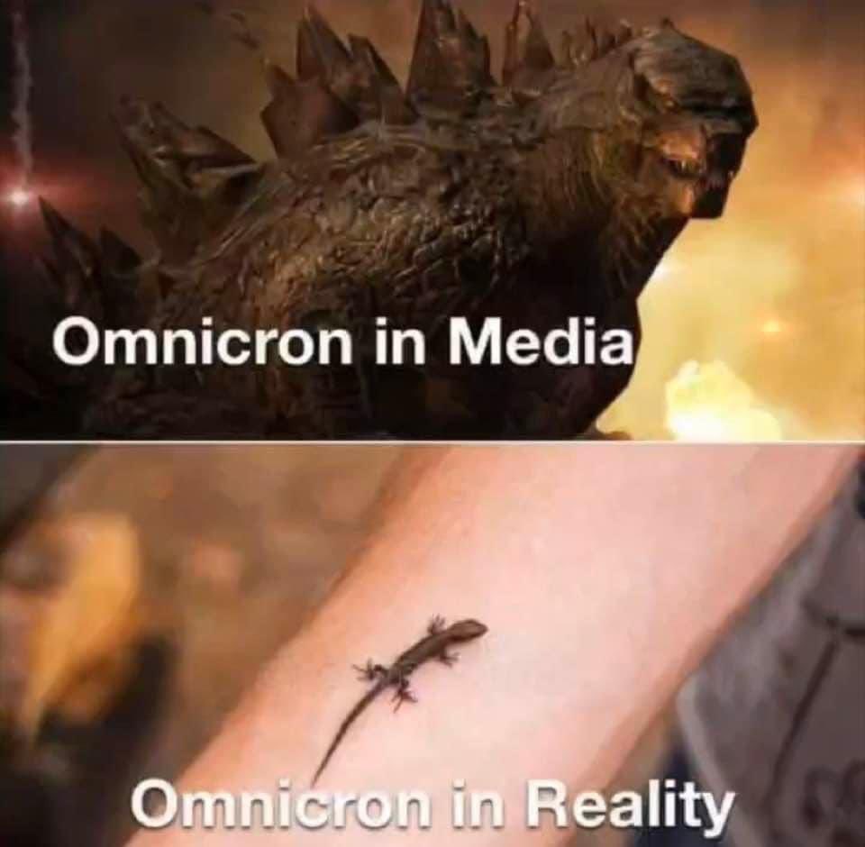 Sal the Agorist (@sallymayweather) on Twitter photo 