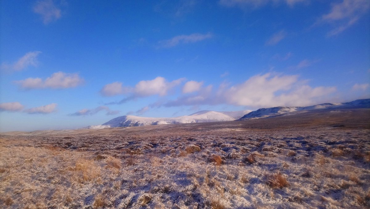 Nell & Jess tweet media