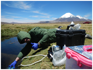 clquezadar's tweet photo. Atención: 1er curso de metabarcoding con ADN ambiental, para aprender las técnicas básicas desde la toma de muestras, análisis en laboratorio, sesiones de análisis de datos en R, técnicas de monitoreo en el Humedal de Mantagua y un dia entero capturando salmónidos en río Blanco https://t.co/Bd6Eq8jBht