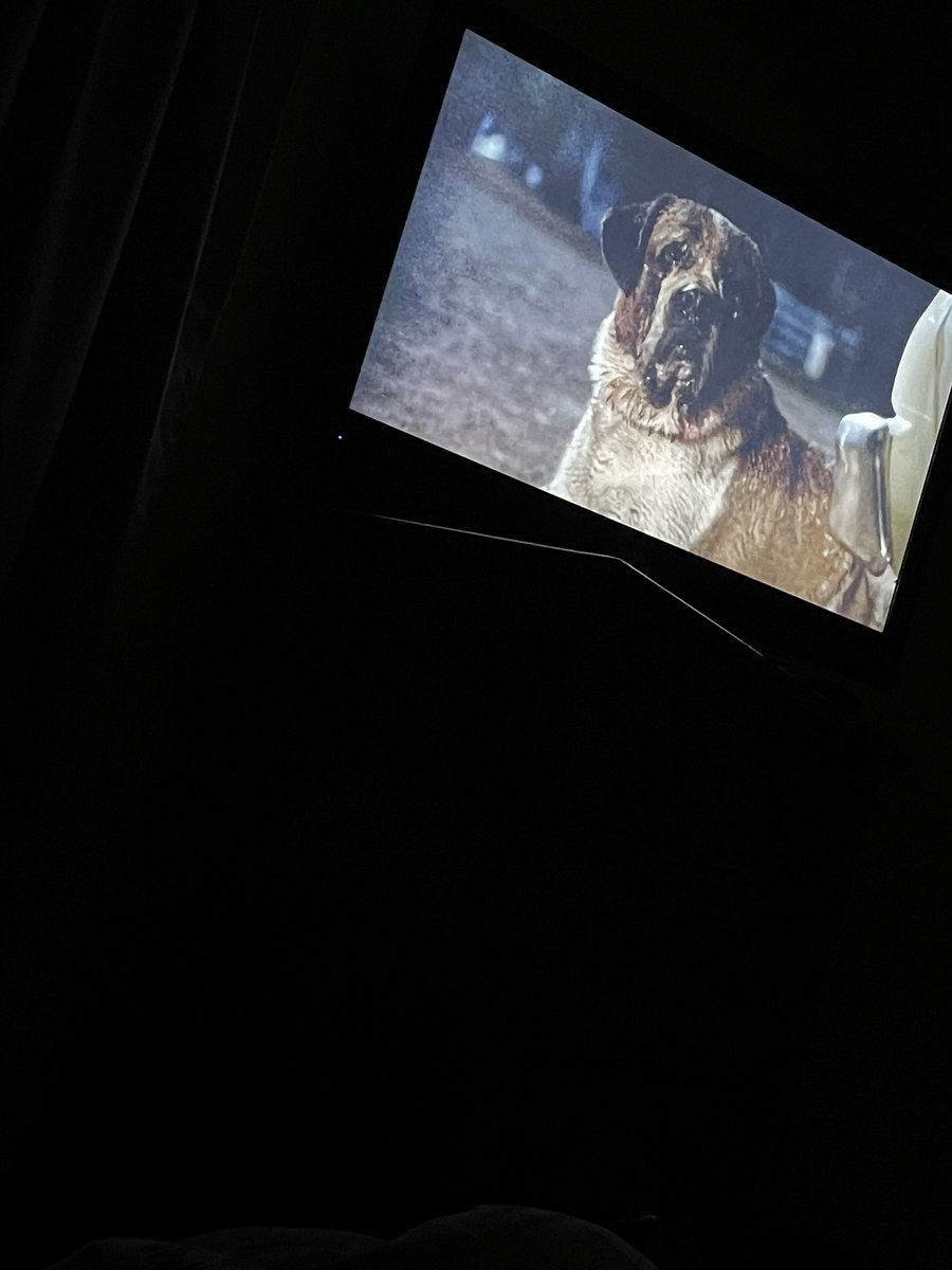 JenTaylor928's tweet photo. Grandson woke up at 2 am, scrolling through channels he wanted to watch the BIG DOGDOG!! @StephenKing #Cujo https://t.co/R3JZrp9JIc