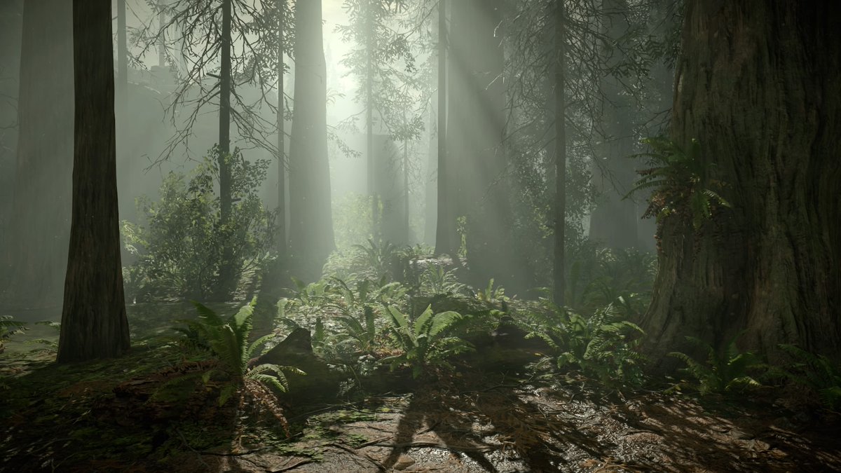 Virtual Landscapes tweet media