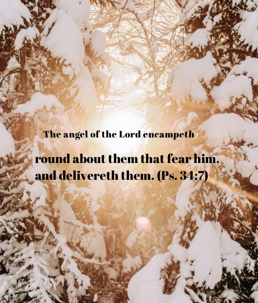 TylerSmith2014's tweet photo. In other words, if you’re a God-fearer, no matter from what angle the enemy comes at you, the angel will bend down and encircle you to hide you from the attack and quench the fiery darts or other weapons hurled by hell. It pays to fear the Lord! https://t.co/oOglRHx6a5