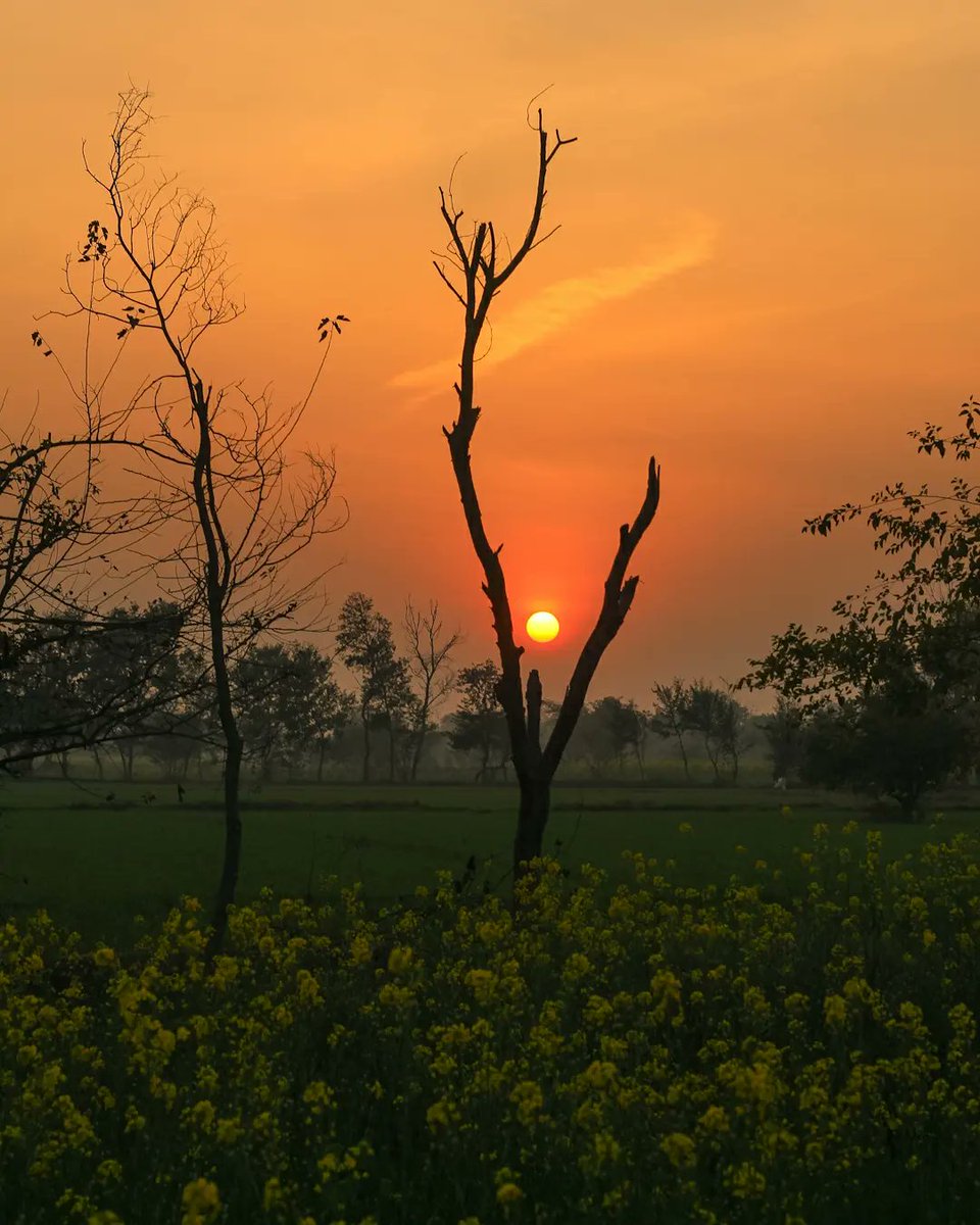 MuhammadRafidA5's tweet photo. I'm in love with capturing sunset. Which one is your favorite 🤍 https://t.co/hcggvSkJlF
