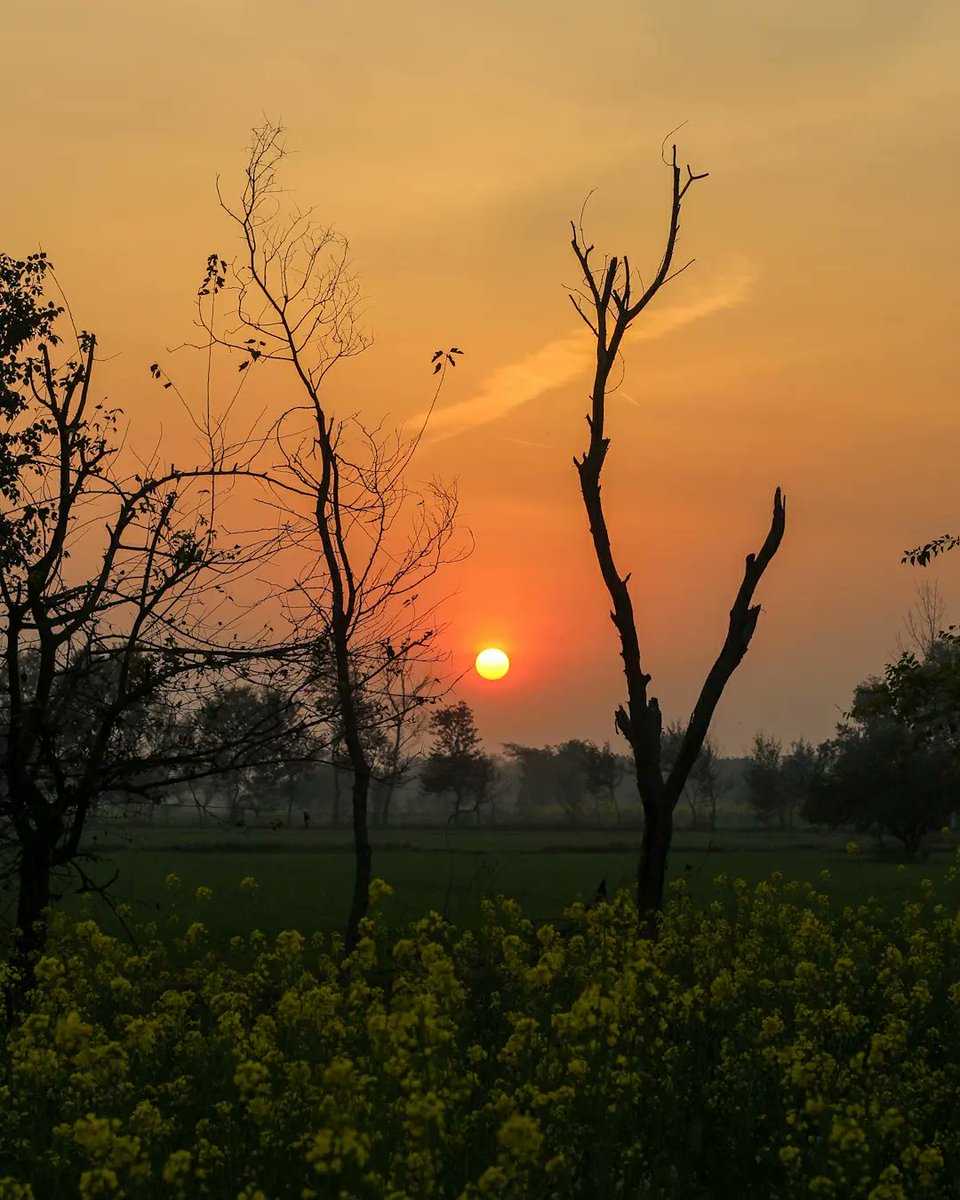 MuhammadRafidA5's tweet photo. I'm in love with capturing sunset. Which one is your favorite 🤍 https://t.co/hcggvSkJlF