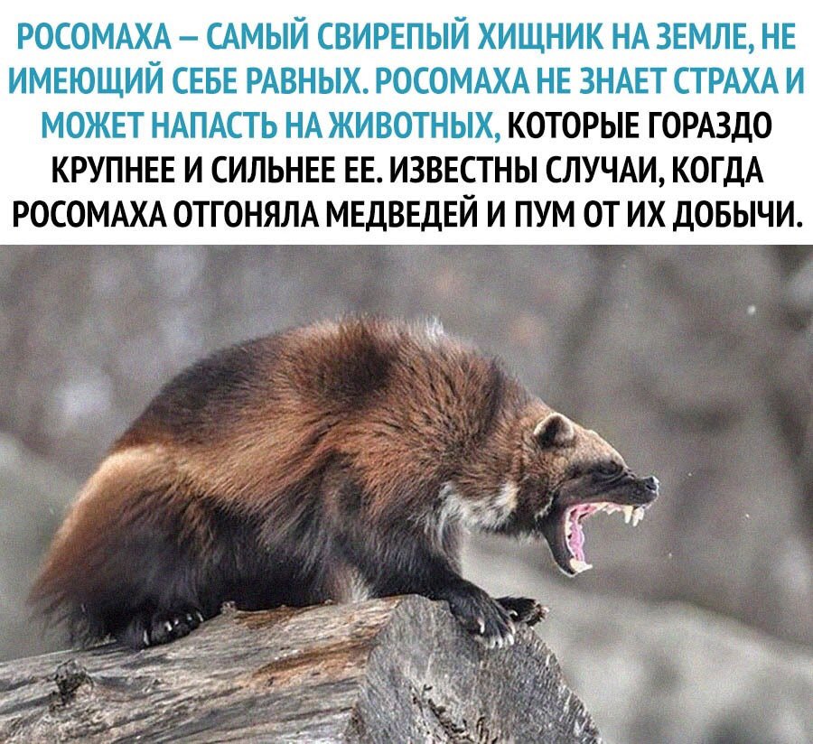 Алексей Сотник tweet media