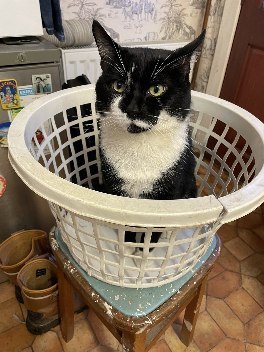 Dad said I can help with the washing today. I’m waiting on the machine finishing….