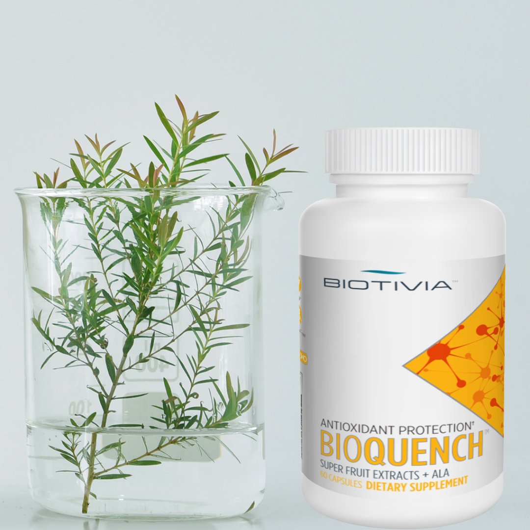 At Biotivia, we believe in supporting a holistically healthy lifestyle, BioQuench designed to provide the full range of health benefits from the 5 major classes of antioxidant super fruit complex with Resveratrol, Mangosteen, Pomegranate, Apple Skin, Goji Berry.