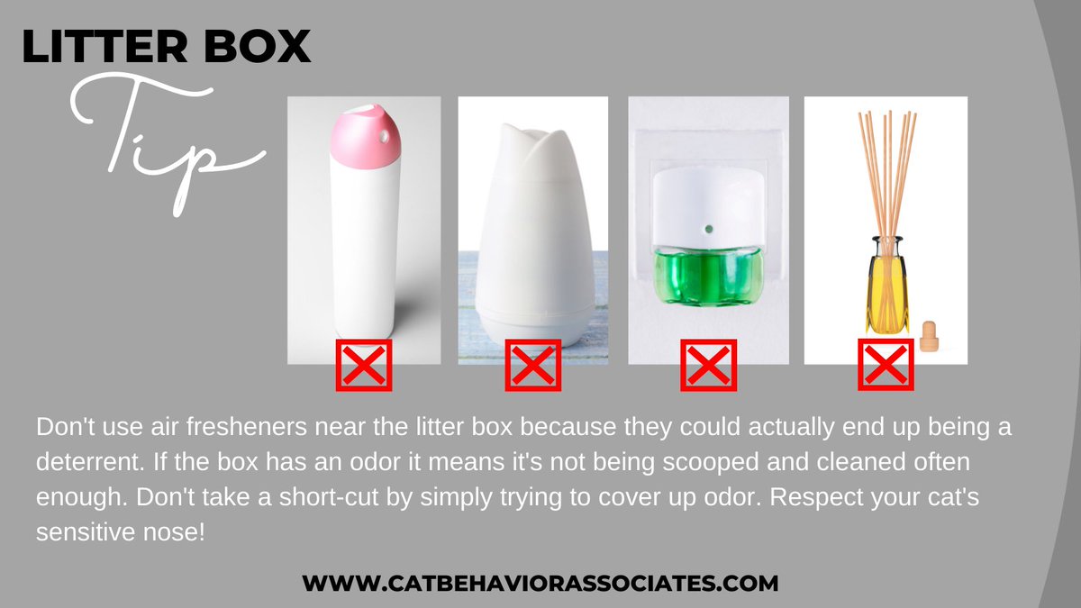 ThinkLikeaCat's tweet photo. Don't try to cover up litter box odor. The best way to deal with odor is to keep the box clean. #thinklikeacat #litterbox #catbehavior #cats https://t.co/ktcUKgMG8l