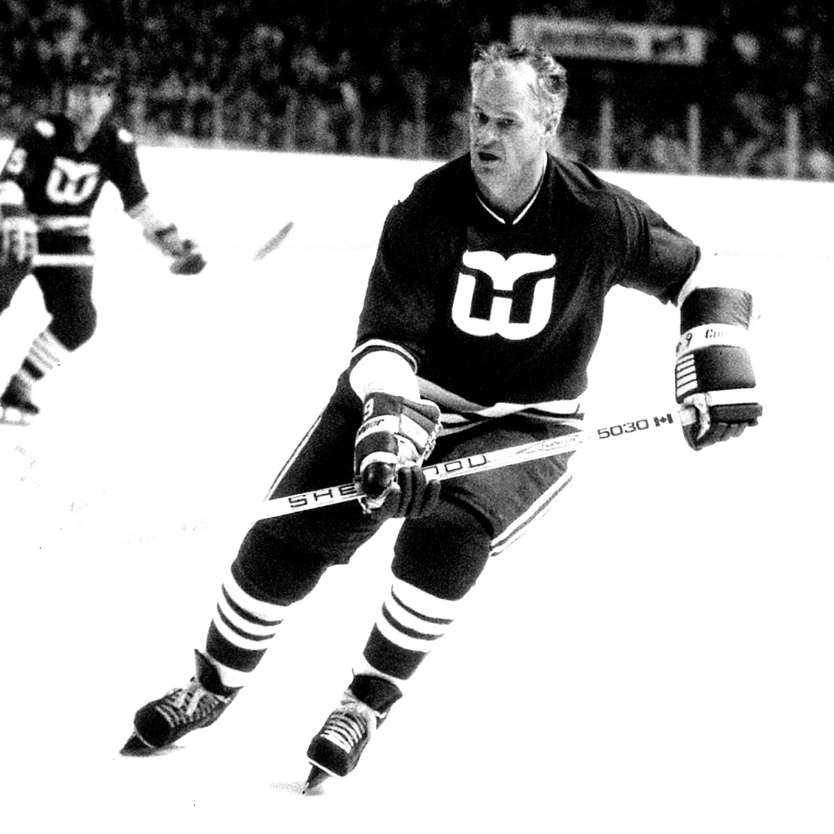 GordiesElbow tweet media