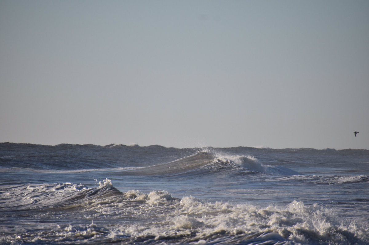 RussofjrRusso's tweet photo. A few photos I took from this morning in Ocean City, Maryland around 8th Street. #ocmd #ocean #oceancitymaryland #ocmaryland #Malibus https://t.co/gmxVyNJmhf