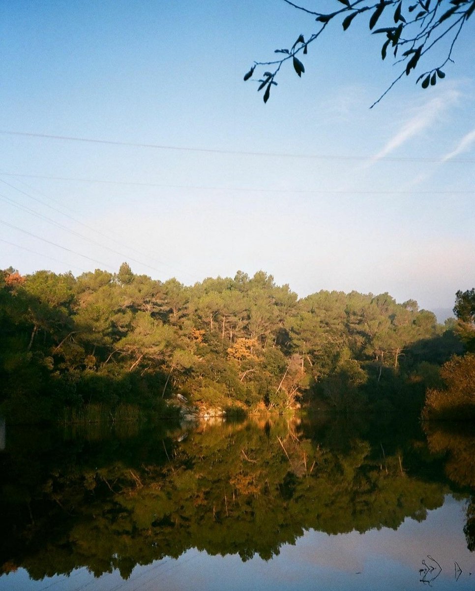 rawna_trb's tweet photo. Reflection in Llac Petit 🌿🏞️🌲 #lake #35mm #streetphotography #analogphotography #rawna #therealbarcelona https://t.co/F6ecaxuzZT