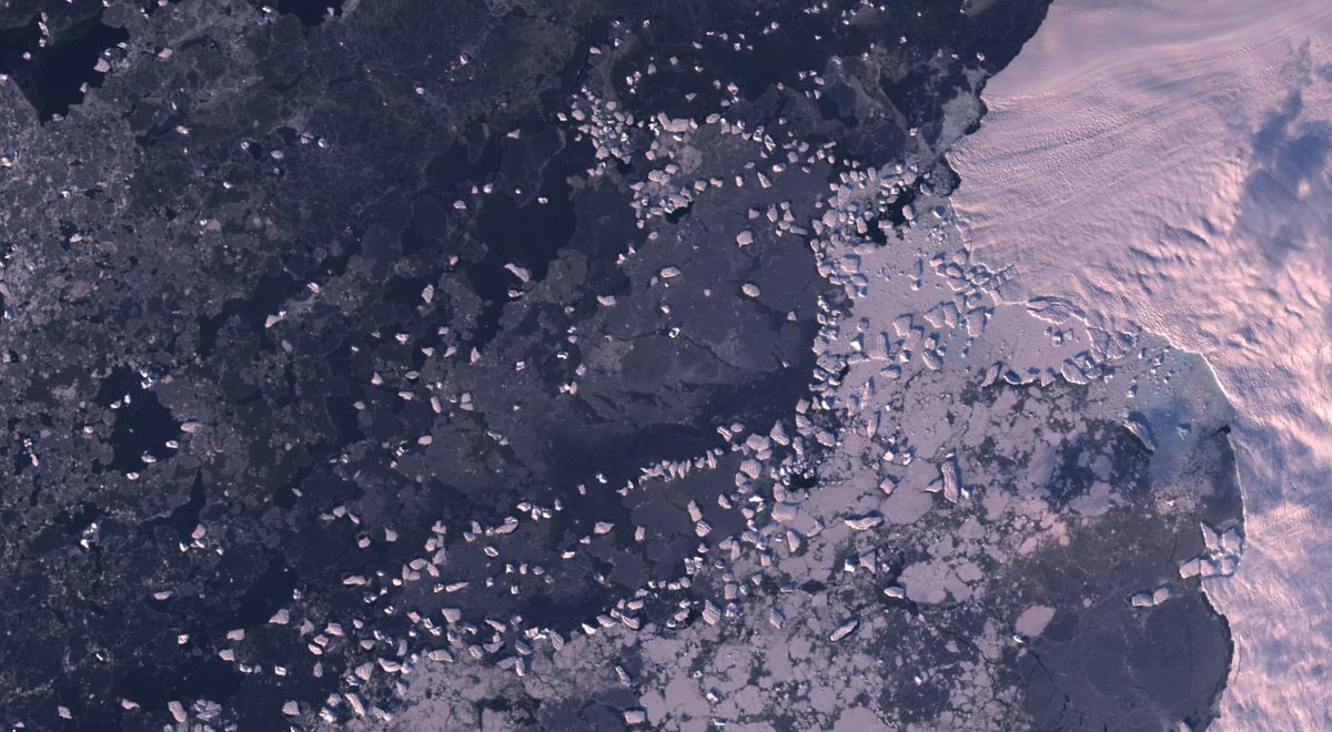 🧊Calling all icebergers🧊

Abstract submission is still open for #EGU22 (12th Jan), so why not come and join us (@arctic_glaciers, Anne &amp; Grant) in 'Observing and modelling icebergs', a brand new iceberg session at <a href="/EuroGeosciences/">European Geosciences Union</a>!

Session link: meetingorganizer.copernicus.org/EGU22/session/… <a href="/EGU_CR/">EGU Cryosphere @egu-cr.bsky.social</a>