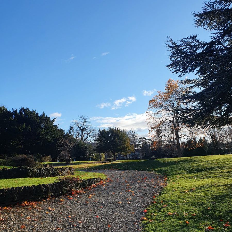 Winter sunshine ❄☀ Take a look at these stunning shots of our very own Park Campus by @CaitlinHafferty during the Christmas holidays! Go outside, breathe in some fresh air and see the wildlife that we have around our campuses (especially the ducks) 🦆 #CampusGoals