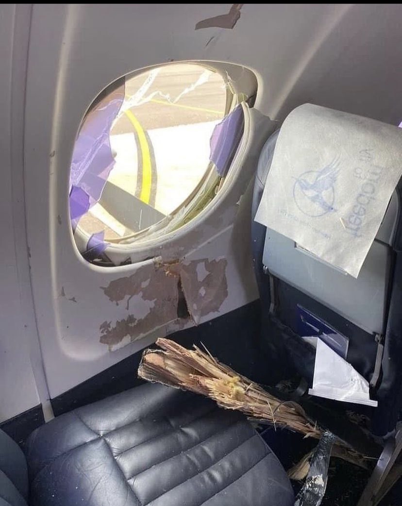 airtangohobbie2's tweet photo. En MEX un #Jetstream41 de @Fly_Airlink le dio con la hélice a un pájaro y una pala de esta se desprendió y dio contra el fuselaje sin ocasionar heridos. 
A mi no me importa, siempre seré #teamventana 

Ph https://t.co/wyJFZdiqz4 https://t.co/0ugQ5c3cz5