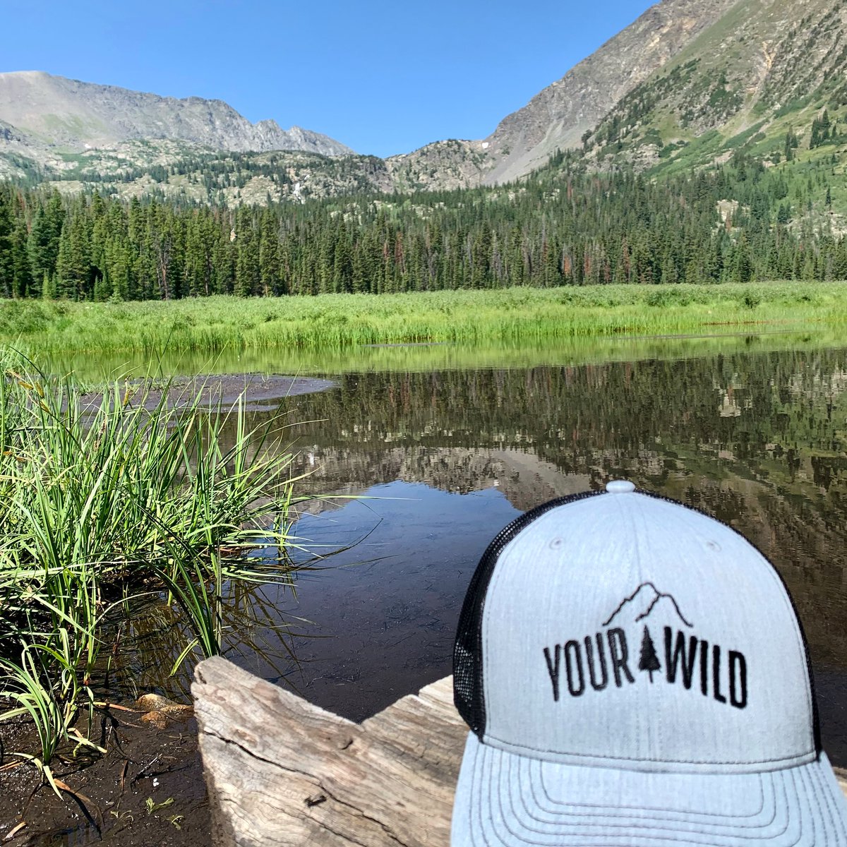 YourWildco's tweet photo. Doing our part in this beautiful world

This journey is just getting started, make sure you follow along🌎 https://t.co/1nlKxywja9