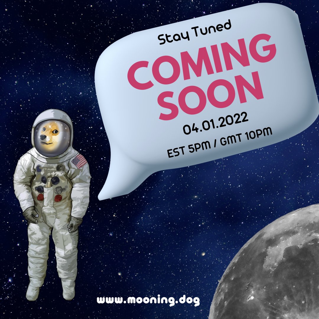 DOGMOON tweet media