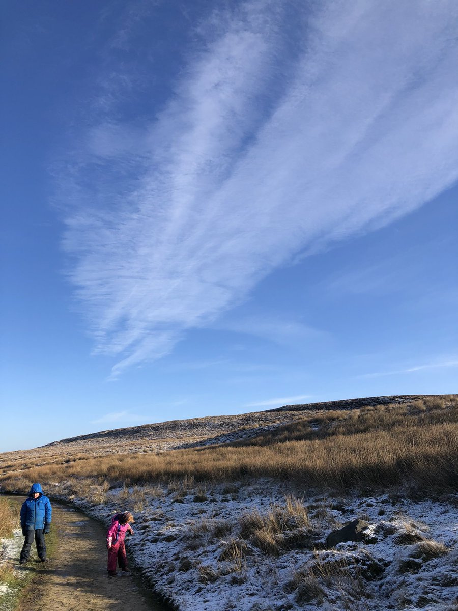 Jilly Taylor tweet media