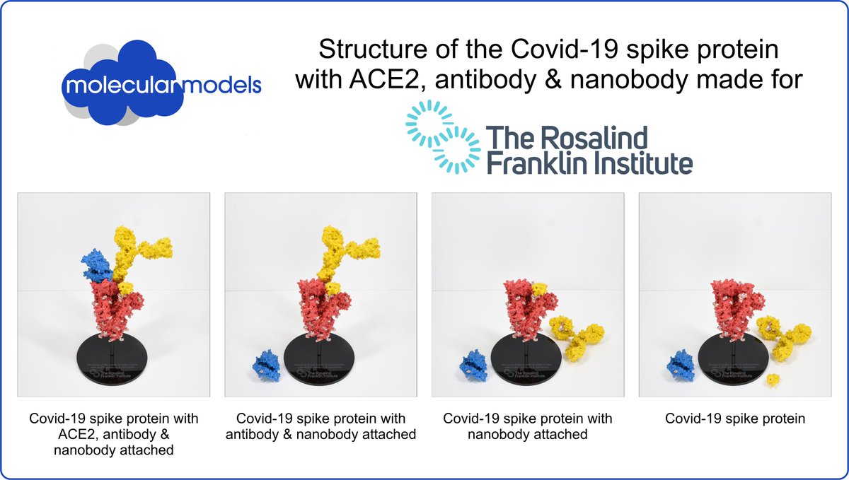 We really enjoyed watching this year's <a href="/Ri_Science/">Royal Institution (now on Bluesky)</a> #XmasLectures. Lots of fun &amp; a good mix of talk and brilliant demos.  Making the Covid-19 spike protein model for <a href="/RosFrankInst/">Rosalind Franklin Institute</a> AND having Sir JVT and Prof. Ray Owens explain how it all works from was just 👌. Great job everyone!