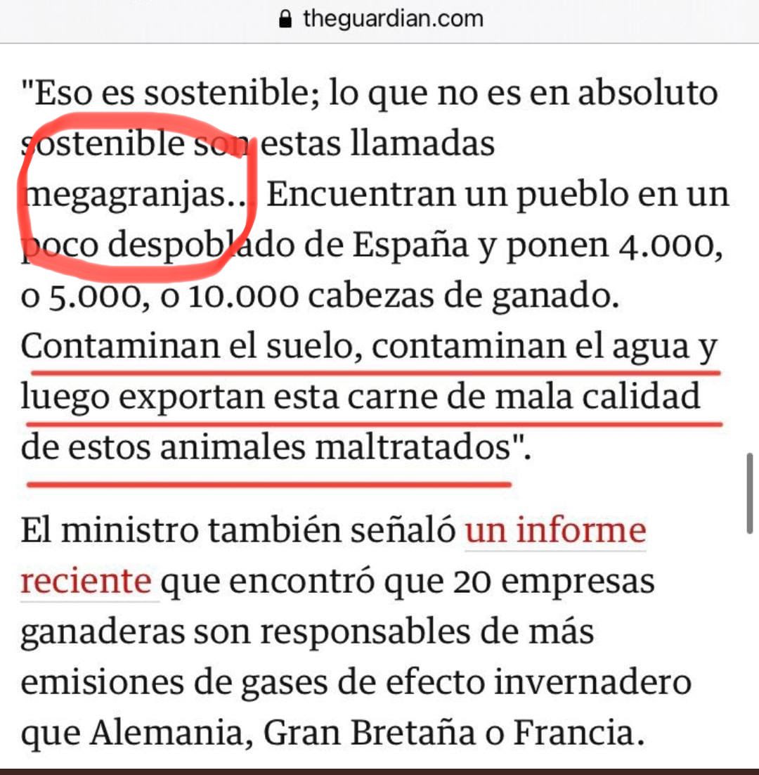 Una muestra más del #Comunismo con un ataque de #Garzondimision esta vez a la ganadería de #CastillaYLeon con el objetivo de que la gente pase hambre. 
Después tocará repartir la miseria a través de las cartillas de racionamiento.
Por cierto se llaman #macrogranjas ; ¡iletrado!