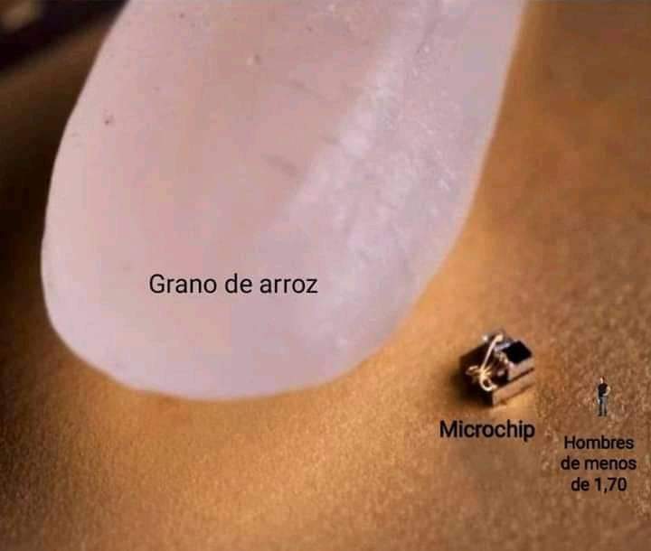 Dante tweet media