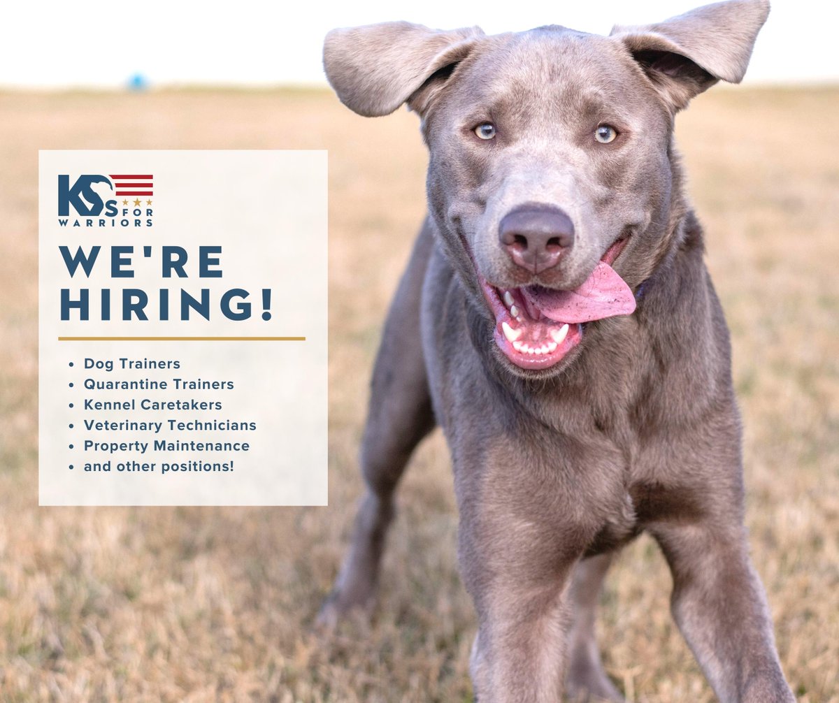 k9sforwarriors's tweet photo. ISO Hardworking individuals who are ready to make a difference in the world! K9s For Warriors is expanding our campus and we are in need of team members who share our core values.Check out all of our openings > https://t.co/DC0UHzapA8 < #hiring #openings #veterans https://t.co/wgHFRhQRUz