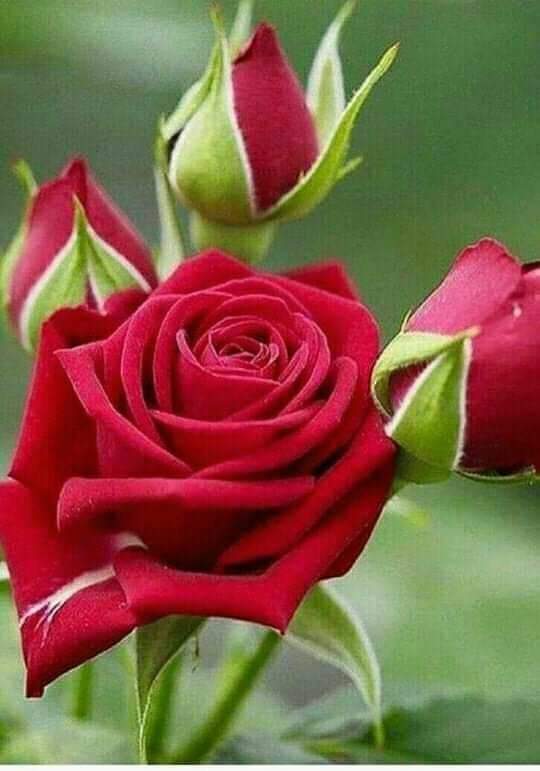 prepwasat's tweet photo. https://t.co/XJiPRIKHUl