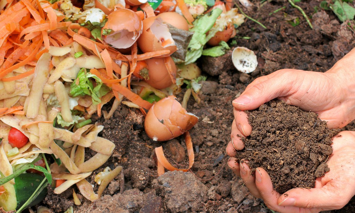 MoonTree_Studio's tweet photo. Total Co-Worker Compost Contributions for 2021 - 567 pounds of compostable material diverted from the landfill, to feed the microorganisms which in turn feed the plants, thus providing nutrient-dense foods for our health.
#compost #composting #permaculture https://t.co/FSPAYqvf4C
