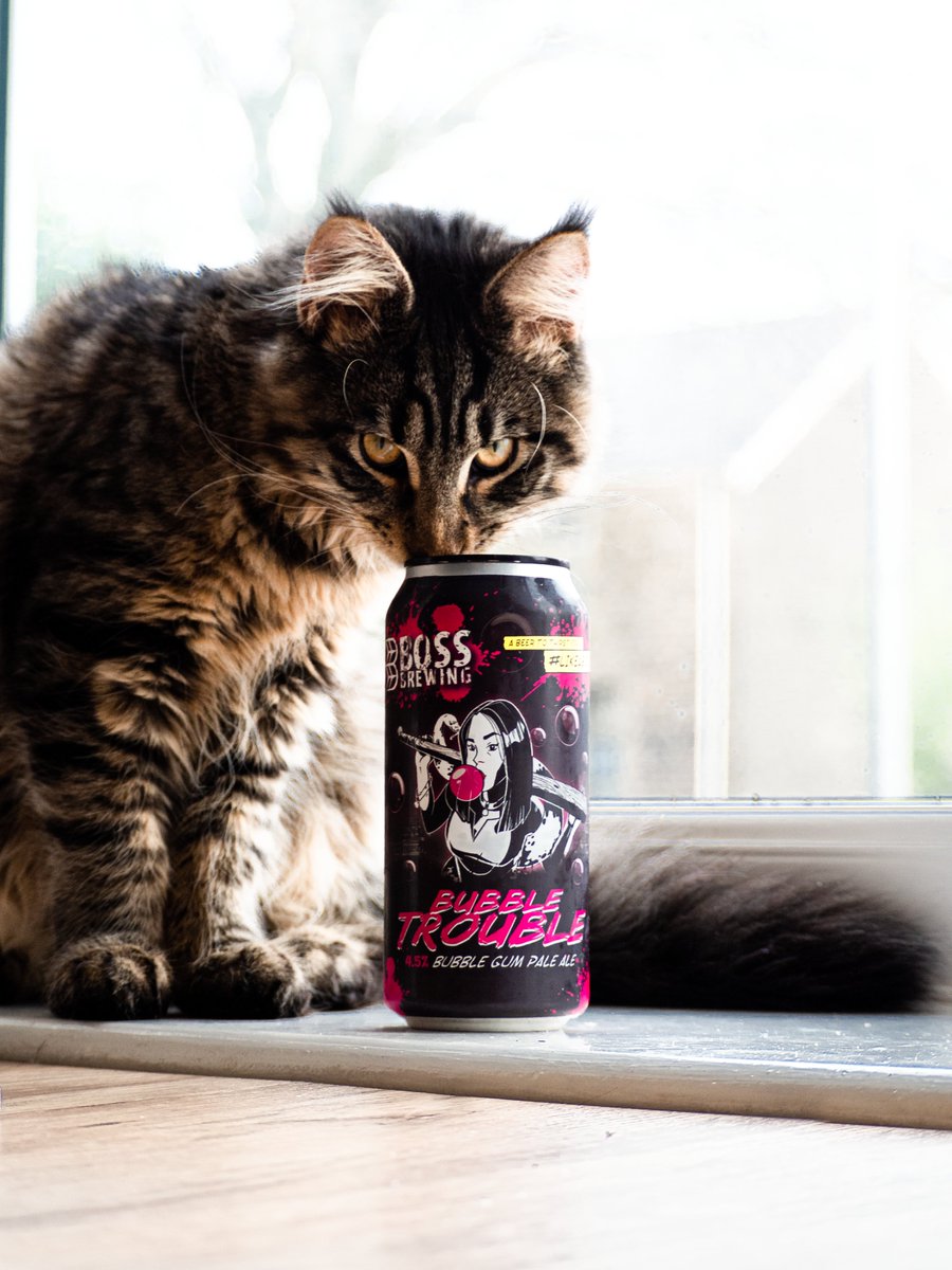 Boss Brewing tweet media