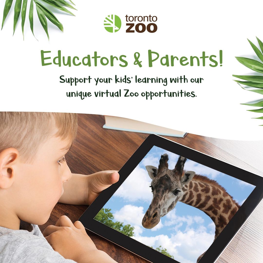 The Toronto Zoo tweet media