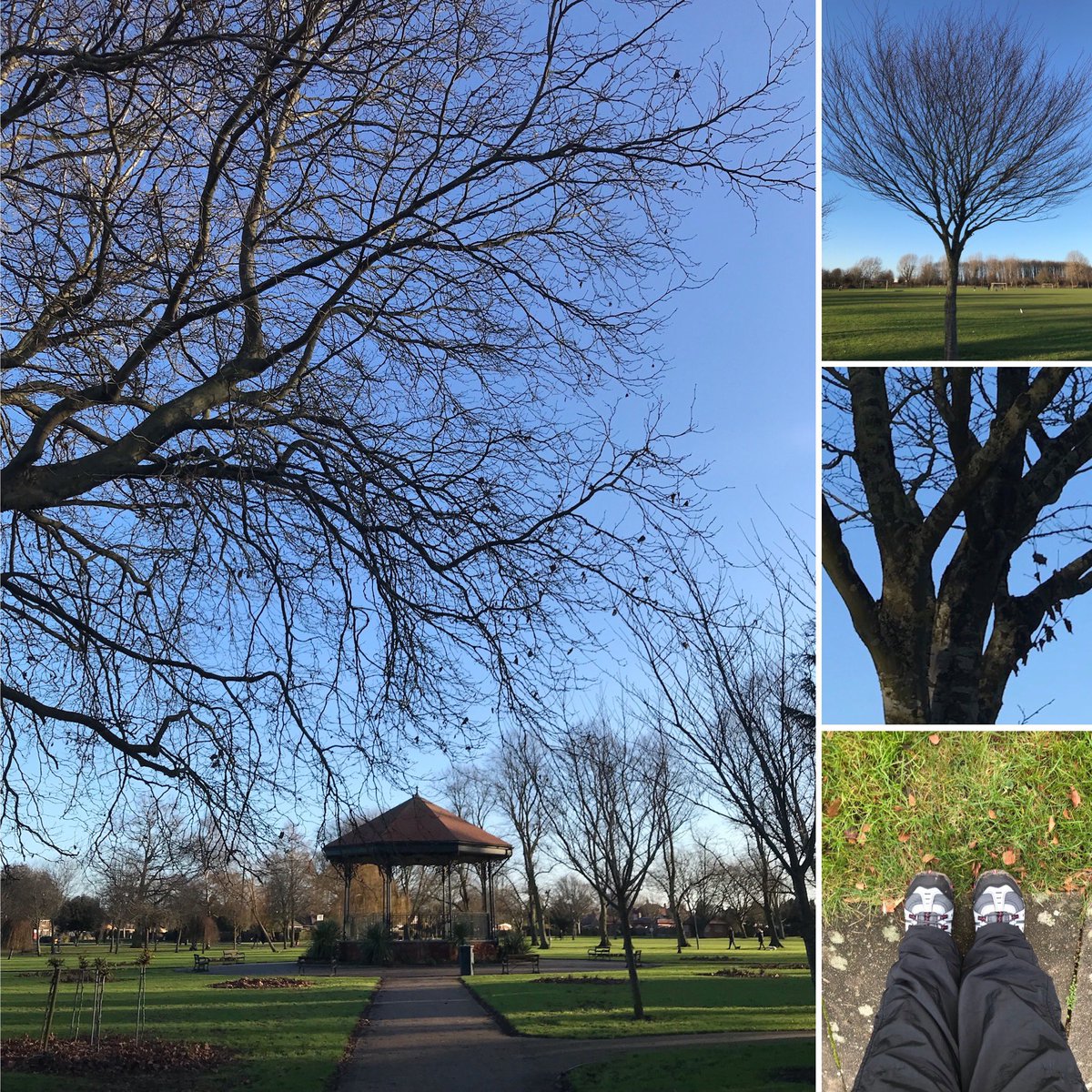 MrsMags_C's tweet photo. Today has been a walk-in-the-park kind of day… #cloudlesssky #filigreetrees #redjanuary2022 https://t.co/iyghKoPcPn