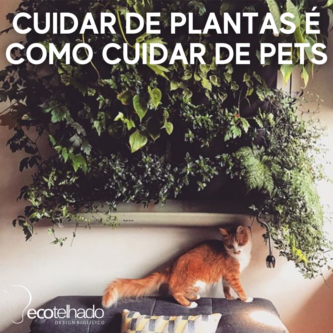 ECOTELHADO's tweet photo. Nós gostamos de fazer essa comparação, pois cuidar de plantas é como cuidar de pets!
Você concorda com essa afirmação?
Nossas plantas necessitam de água, alimento, nutrientes, atenção e carinho. https://t.co/L0If1AdLqc