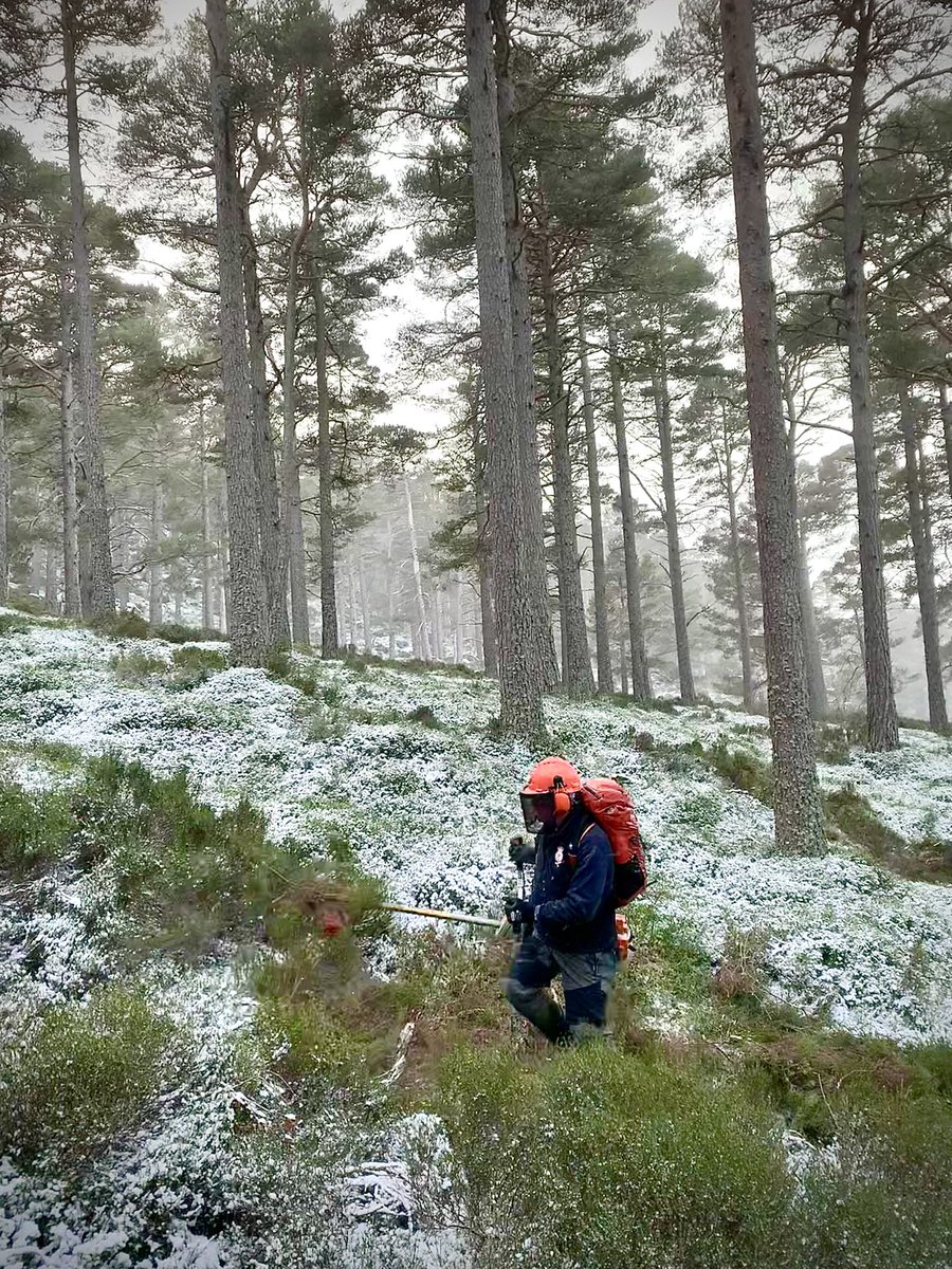 Balmoral Castle tweet media