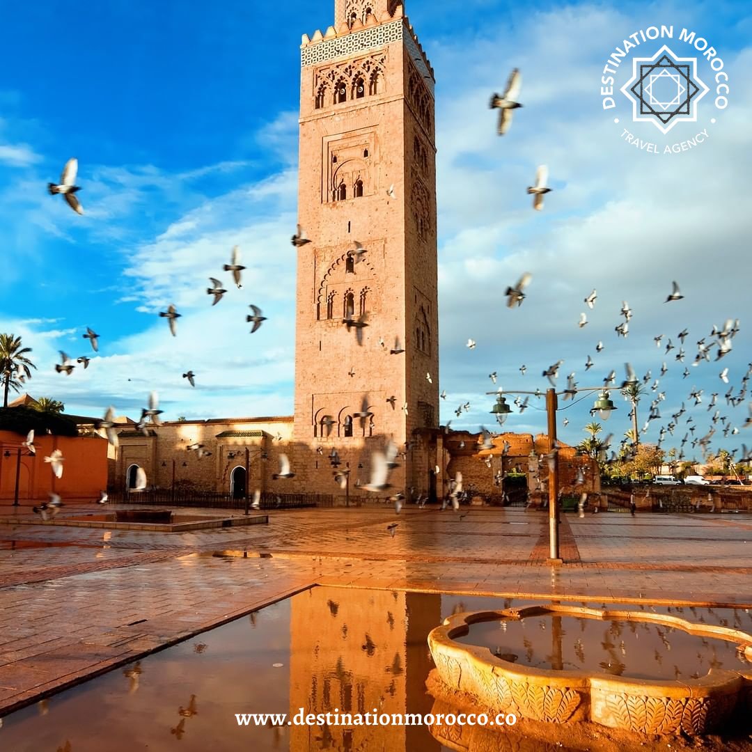 destinationmoro's tweet image. The traditional architecture reflects the rich heritage and the strong pillars on which this traditionally modern country has been built!

#morrocanarchitecture #destinationmorocco #morocco #moroccotravel #instamorocco #instamarakech #discovermorocco