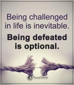 singsational's tweet photo. @pavyg You can only tell people the truth, but you can’t make them believe it! Carry on! https://t.co/VFUBBPsBYS