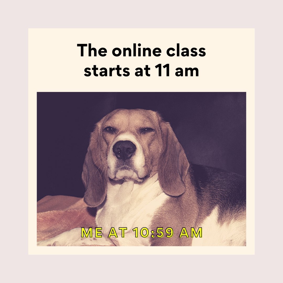 Topernazmul's tweet photo. When My Online class starts..........

#NationalTriviaDay #Commanders #tuesdayvibe #Atlas_Shrugged #NoMoreLockdowns #Wounded #topernazmul #digitalmarketing #memes #funny #funnyphoto #funnymemes #fun https://t.co/xV78kWPZhg