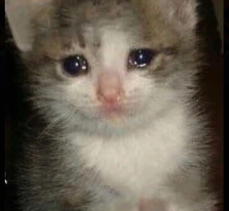 bonbonpichou's tweet photo. ep 12-13
he had always been a puppy in previous eps. later eps he's just this little sad meow meow ;w; man, i rly wonder how fans actually feel to see him in this role before Moonjo #gbsp https://t.co/vvbWva9heV