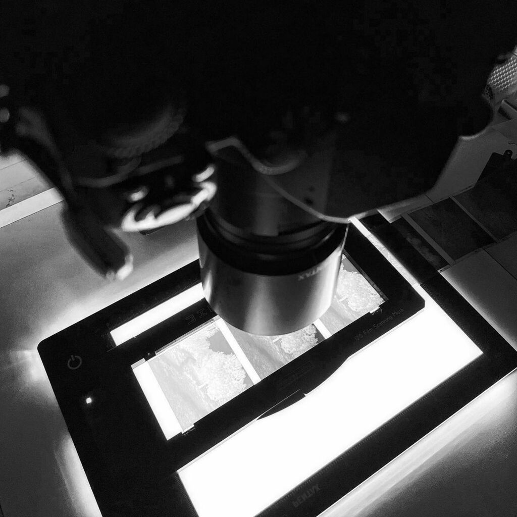 falevian's tweet photo. #scanning 150mpx #150mpx #HP5+ #pentaxk1mkii 

https://t.co/UcwxSfGVHJ https://t.co/0xtmHe5tnr https://t.co/glRyCUv9Ik