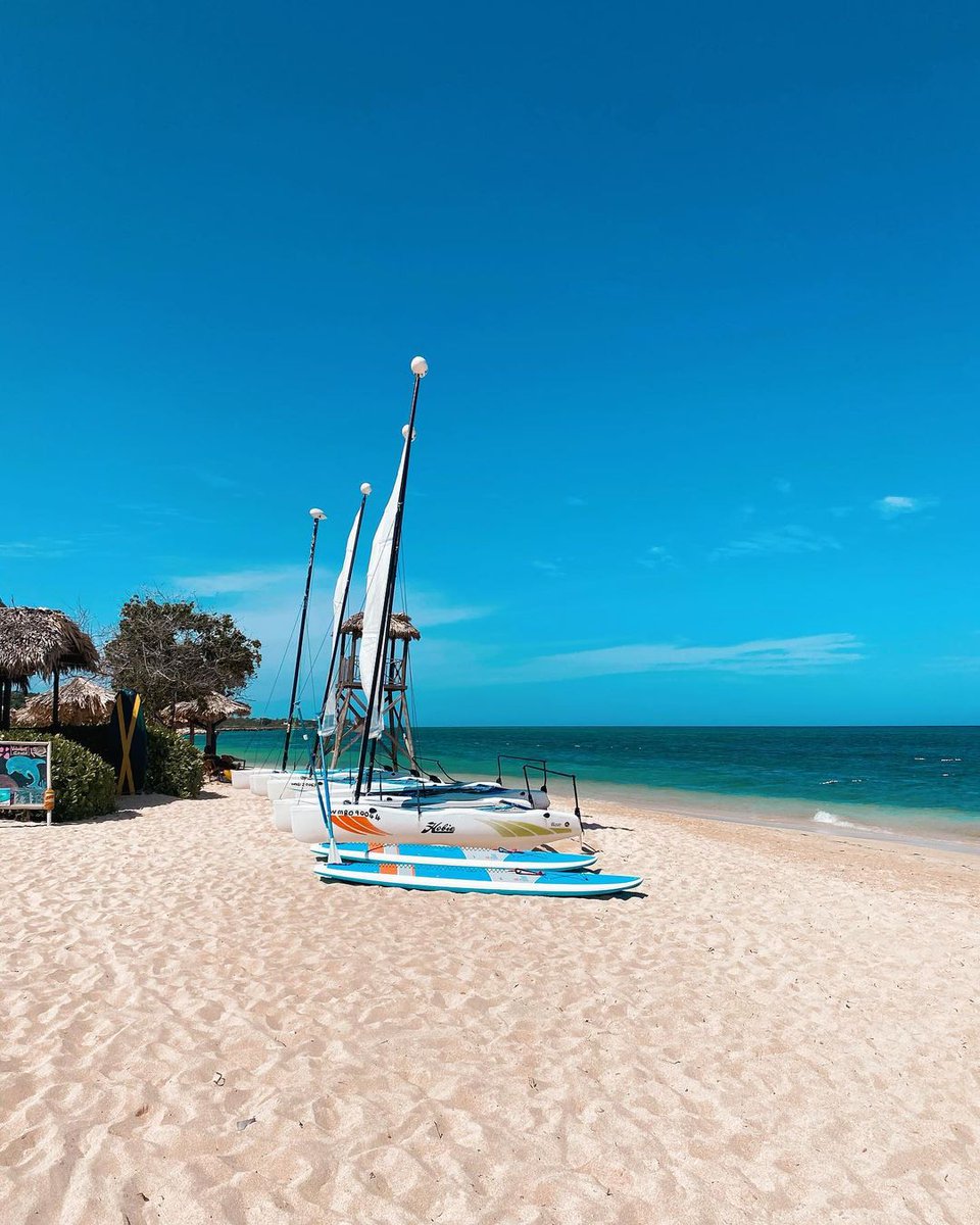 Kayak, paddleboard or sail. 💦 The option is yours when you #visitjamaica.

📸: @_jacellis via Instagram 

📍  Montego Bay 

 #OneCaribbean #CaribbeanDreaming #Beach #Vacation #Jamaica #Kayak #Paddleboard