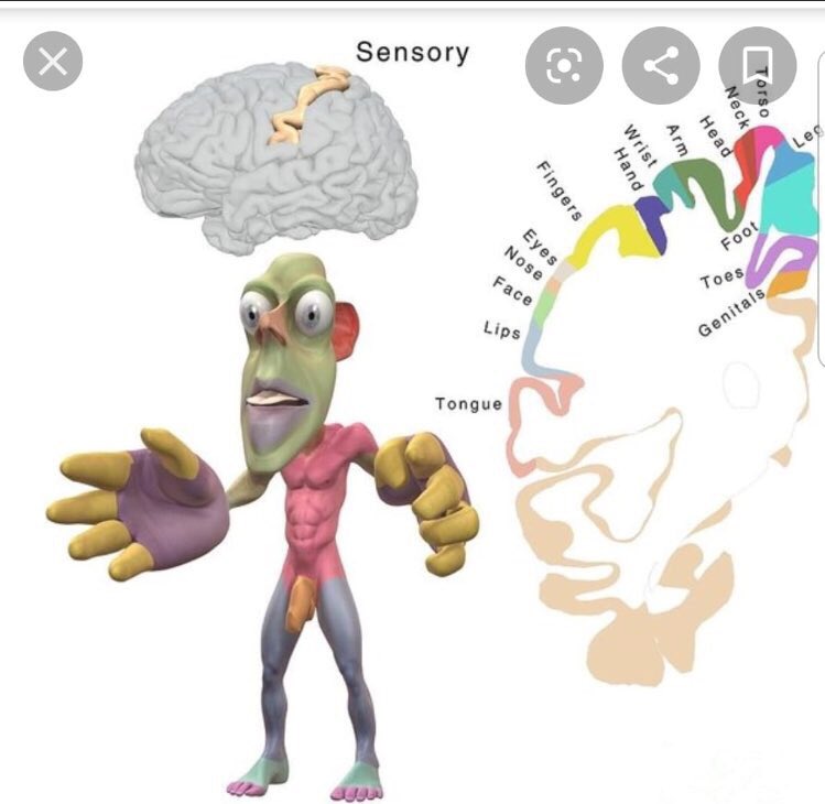 Beyond Psychology tweet media